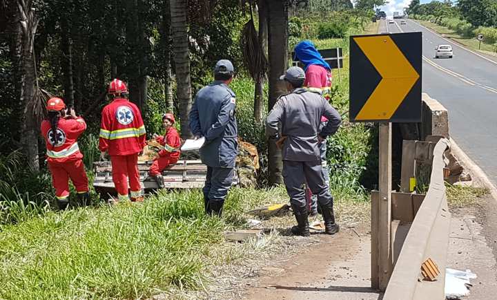 Um coqueiro impediu que o caminhão caísse no córrego (Foto: Bombeiros/Divulgação)