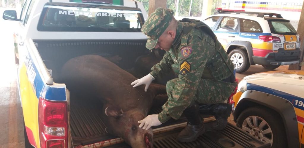 Foto: PMA/Divulgação