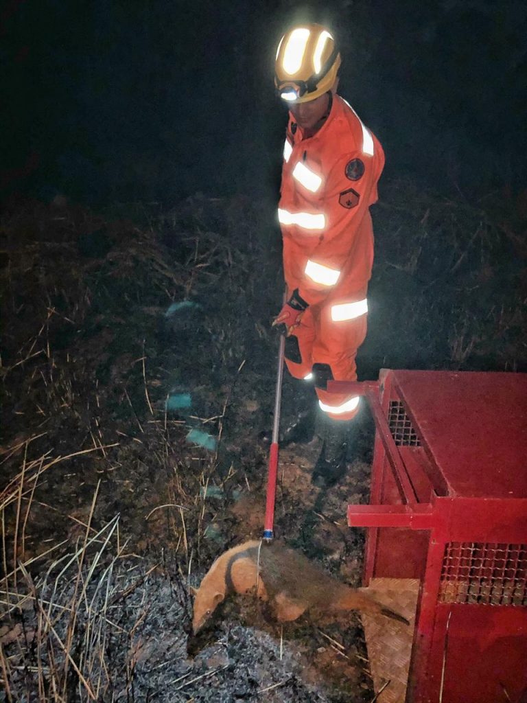 (Foto: PMR/Divulgação)