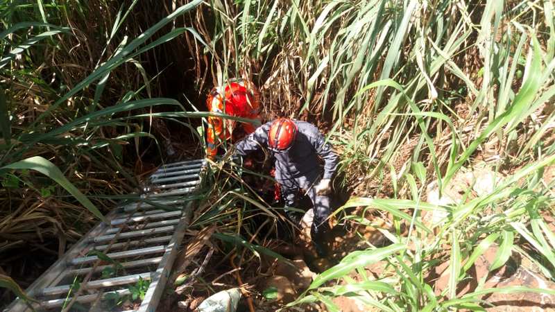 Cinco bombeiros foram empenhados no resgate do homem | Foto: Bombeiros / Divulgação