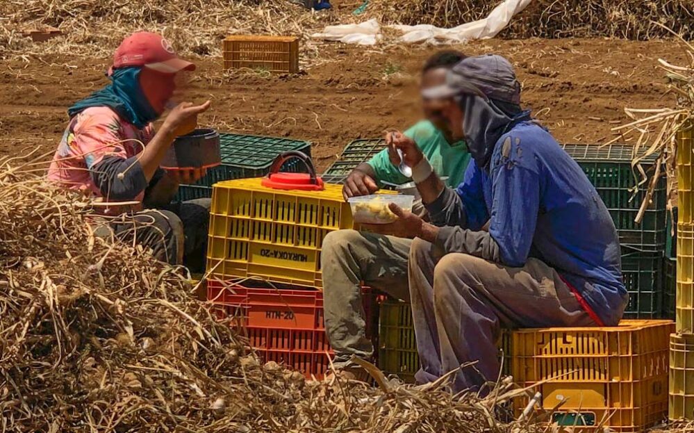 trabalho escravo coromandel destaque