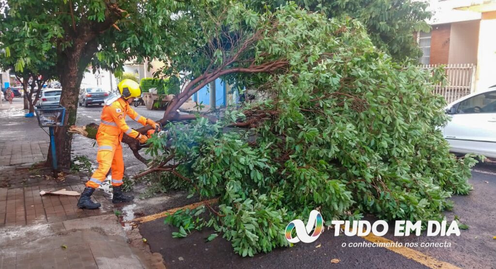 Bombeiros cortam árvores após os fortes ventos em Ituiutaba