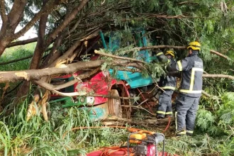 Bombeiros socorreram passageiro de caminhão que bateu em árvores na BR-352 em Patos de Minas — Foto Corpo de Bombeiros