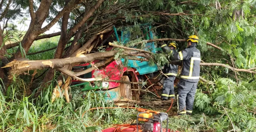 Bombeiros socorreram passageiro de caminhão que bateu em árvores na BR-352 em Patos de Minas — Foto Corpo de Bombeiros