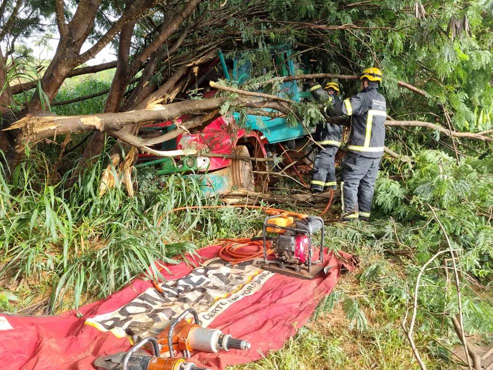 Bombeiros socorreram passageiro de caminhão que bateu em árvores na BR-352 em Patos de Minas — Foto Corpo de Bombeiros