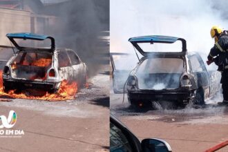 Veículo VW Gol ficou totalmente destruído pelas chamas — Foto: Bombeiros/Divulgação