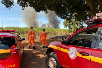 Bombeiros são acionados para combate a incêndio no canavial