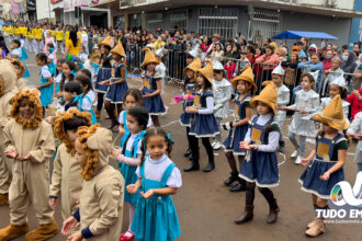 Alunos das escolas municipais e estaduais apresentaram um dos mais belos desfiles de todos os tempos — Foto: Maria Thereza Braga