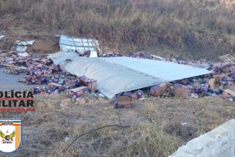 Caminhão carregado com mangas se envolve em acidente próximo à Serra do Salitre