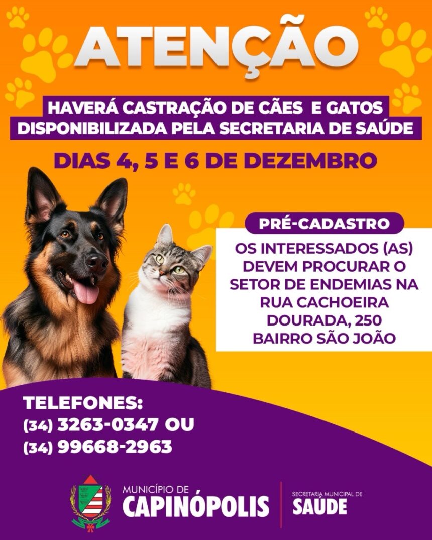 Atenção tutores de animais domésticos