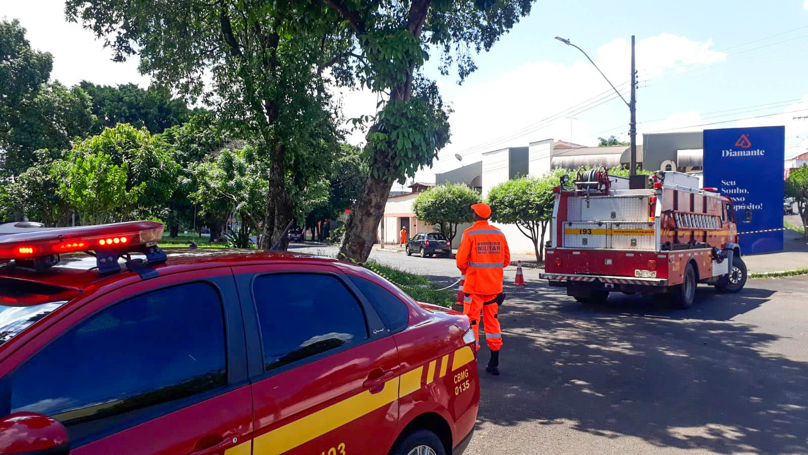 Tudo Em Dia - abelhas em ituituaba