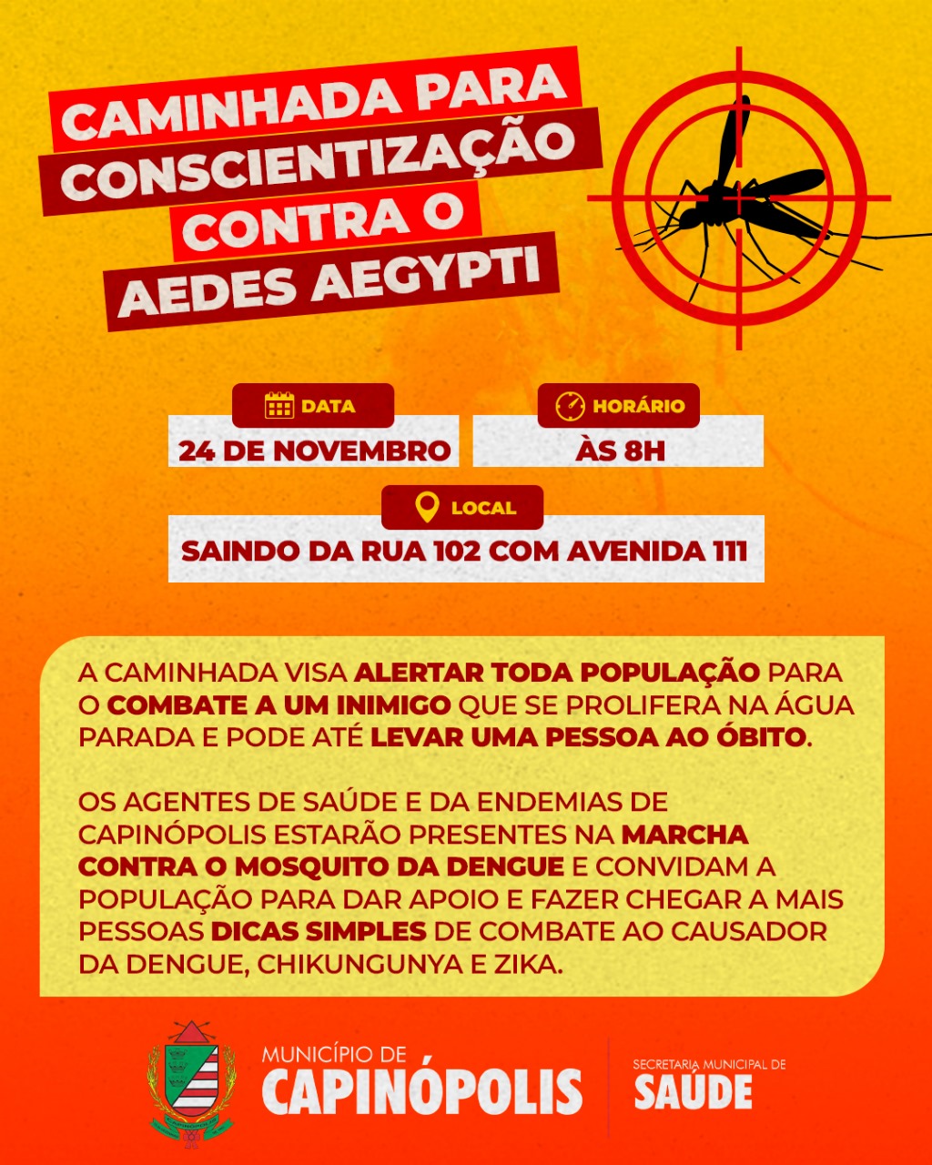 caminhada contra a dengue