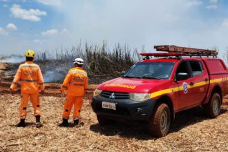 Incêndio atingiu grande área de canaval e palhada de usina | Foto: Bombeiros