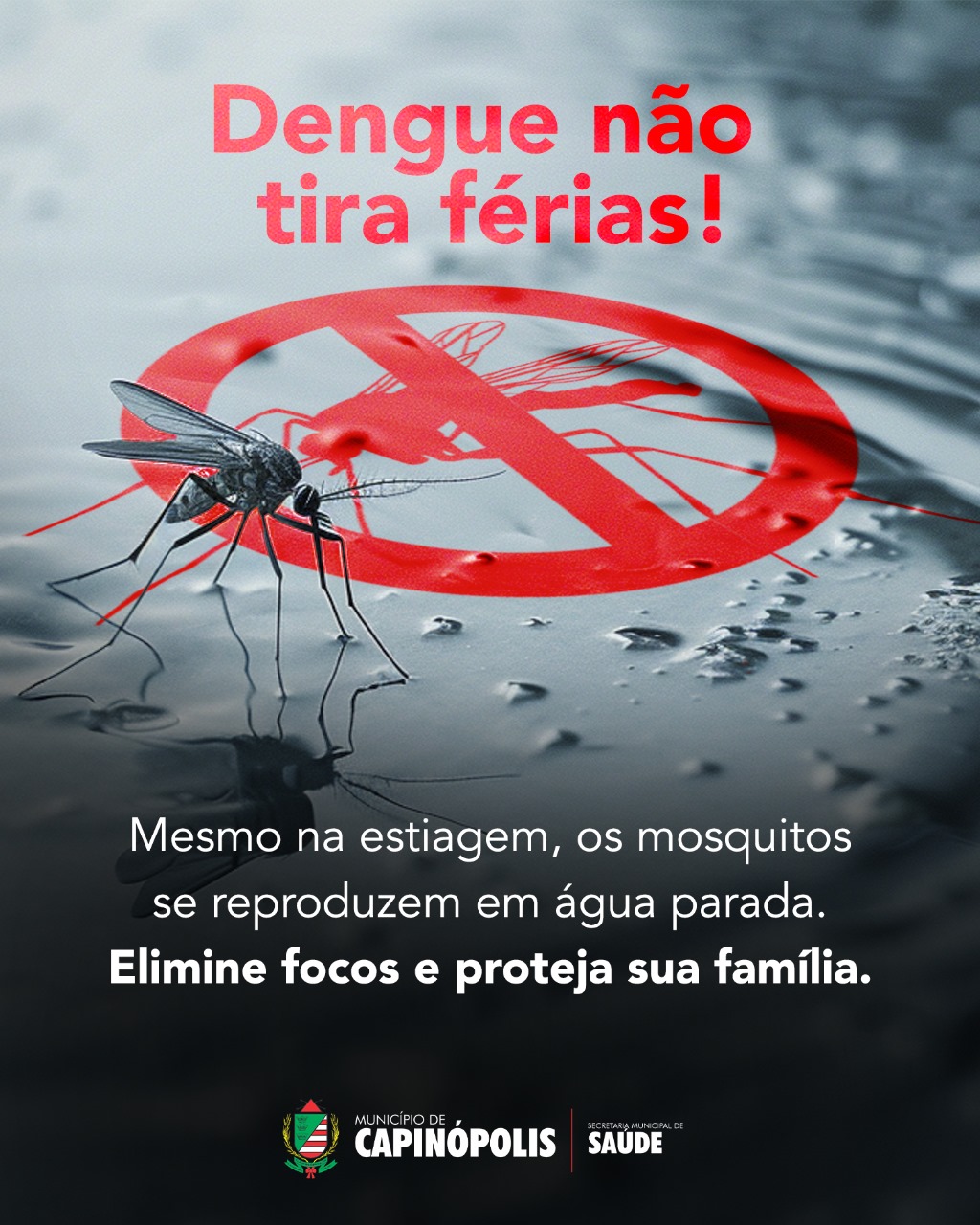 dengue nao tira ferias