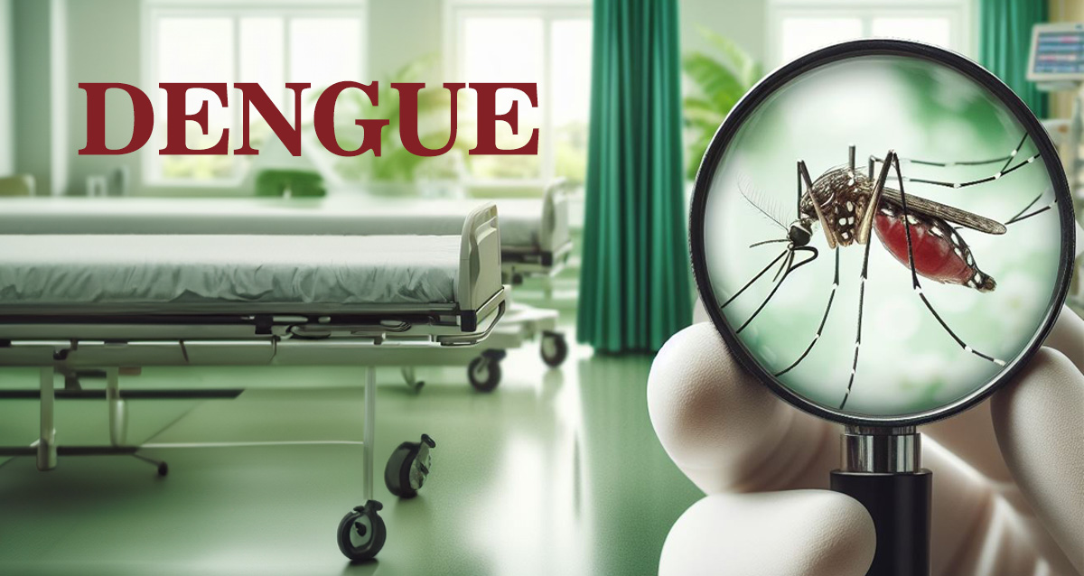 dengue 2