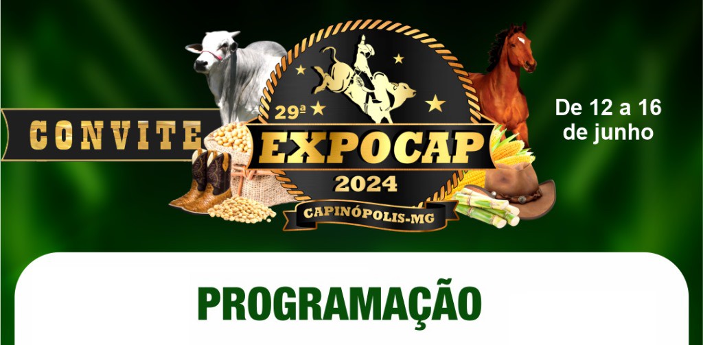 programacao