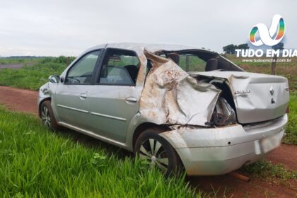 Tudo Em Dia - destaque acidente capim