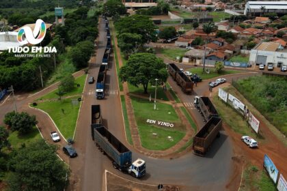 Tudo Em Dia - safra crv minas gerais capinopolis 2024