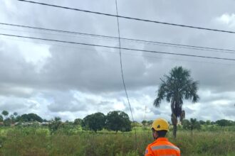 Bombeiro faz averiguação do fio de alta tensão rompido em Ituiutaba