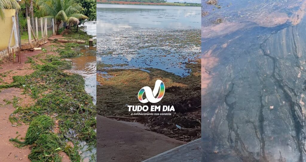 Surto de algas no Rio Paranaíba está causando desequilíbrio