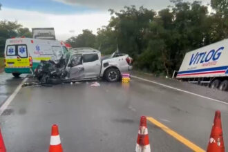 2 adultos e 1 criança morreram na batida frontal