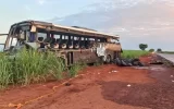 Ônibus que colidiu com caminhão entre Nuporanga (SP) e São José da Bela Vista (SP) ficou destruído — Foto: Guilherme Leoni/EPTV